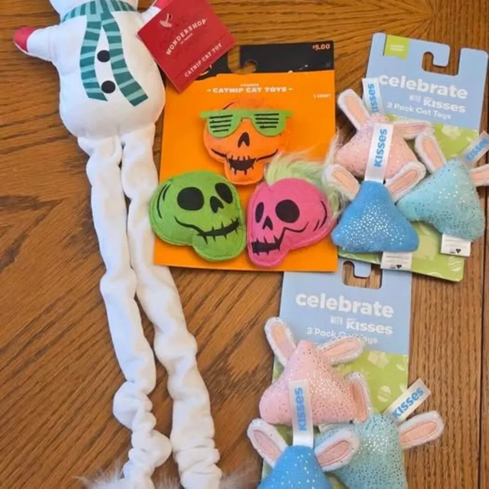 Cat toy bundle